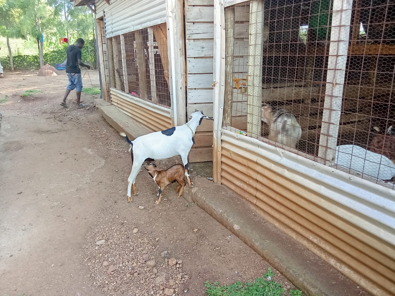 Annual church picnic