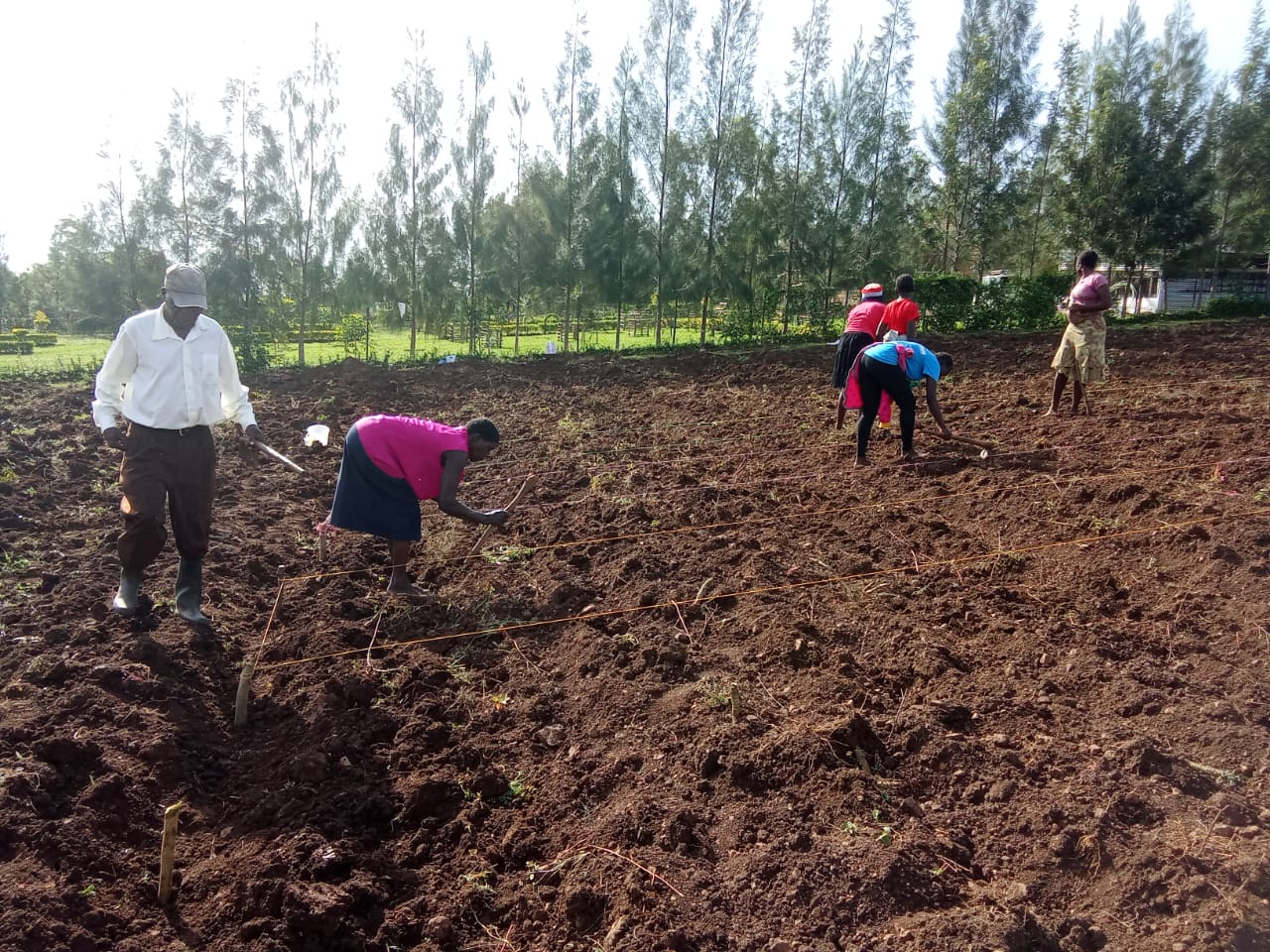 Food drive volunteers